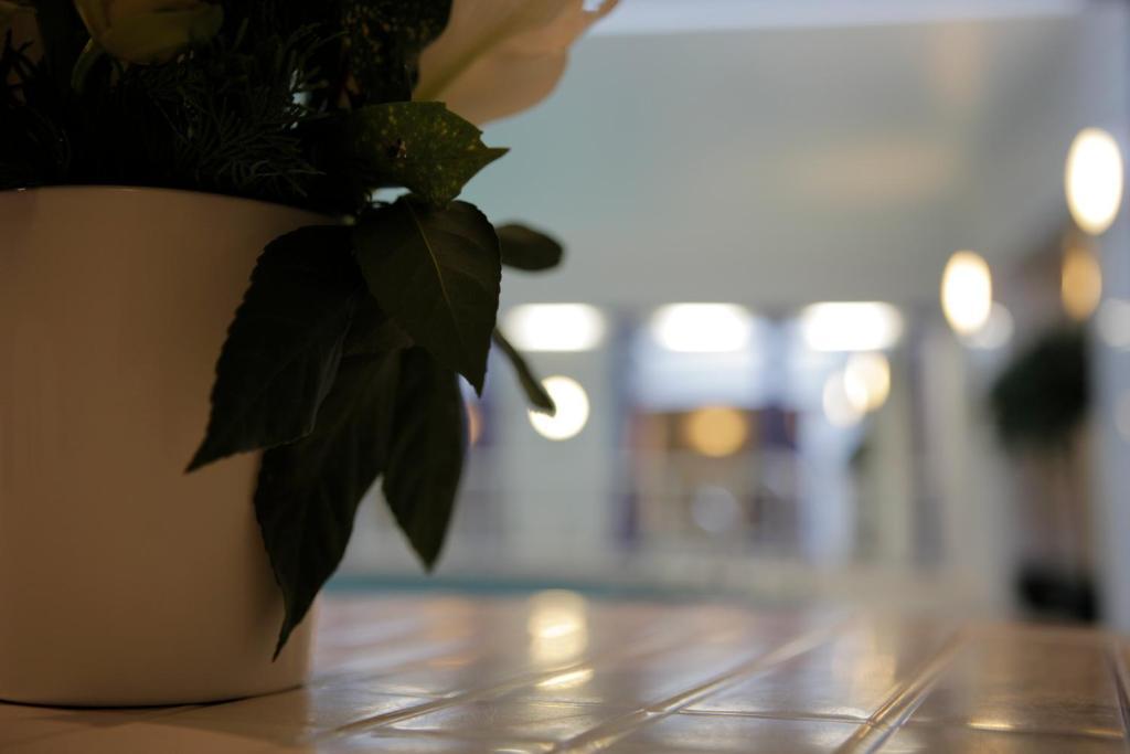 The Red Lea Hotel Scarborough Bagian luar foto